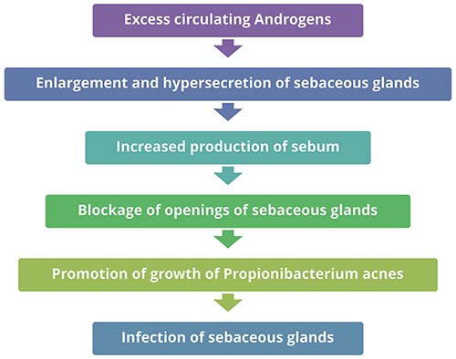 Causes of Acne vulgaris