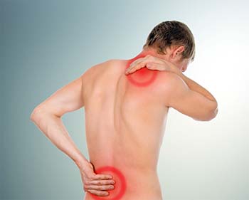 back pain introduction