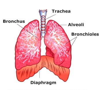 COPD_Definition_1