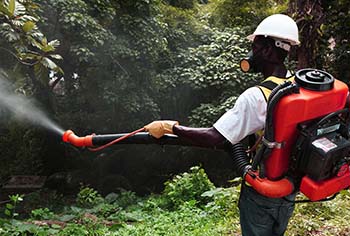 Prevention Of Chikungunya