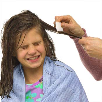 Prevention of Head Lice