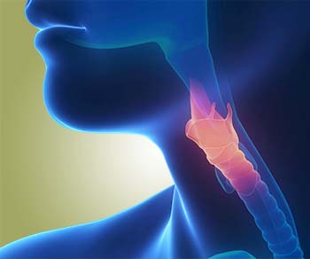 hoarseness of voice definition