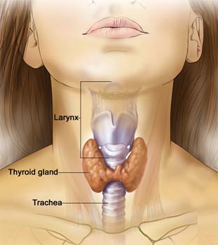 Introduction of Hypothyroidism