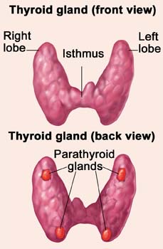 Introduction of Hypothyroidism