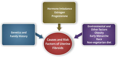 Causes of Uterine Fibroids